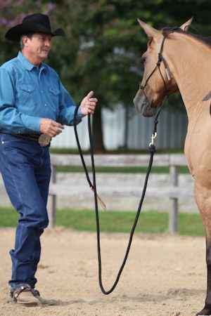 2014 ray ainsworth teaching horses